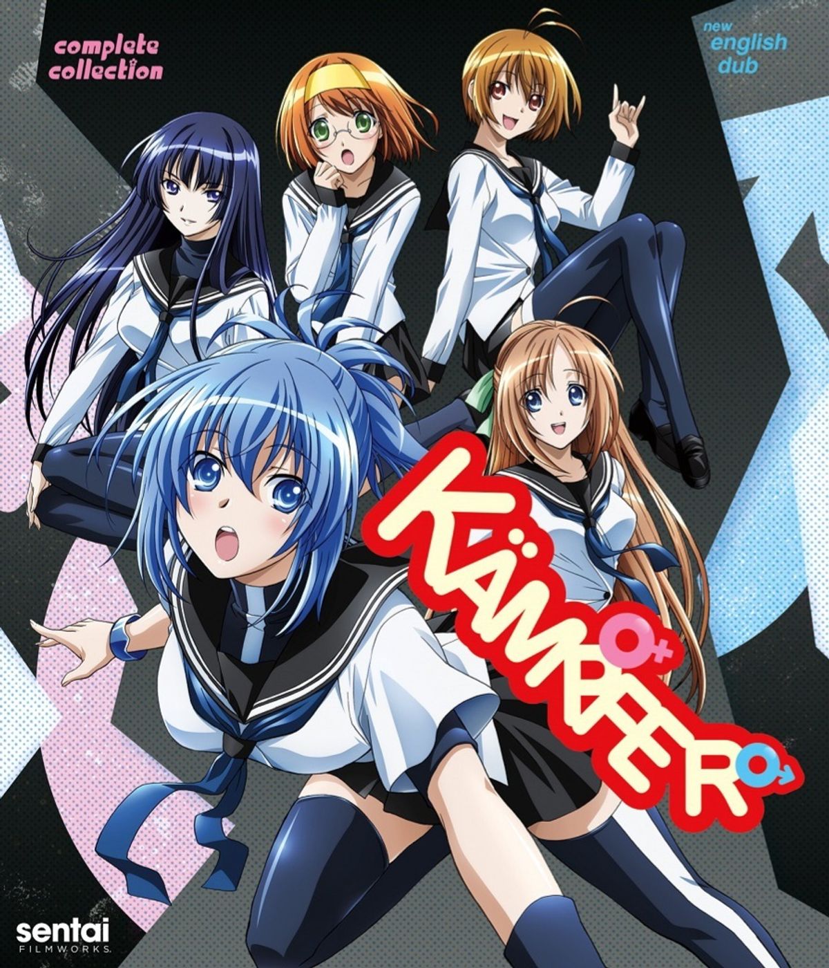 Kämpfer (Literature)