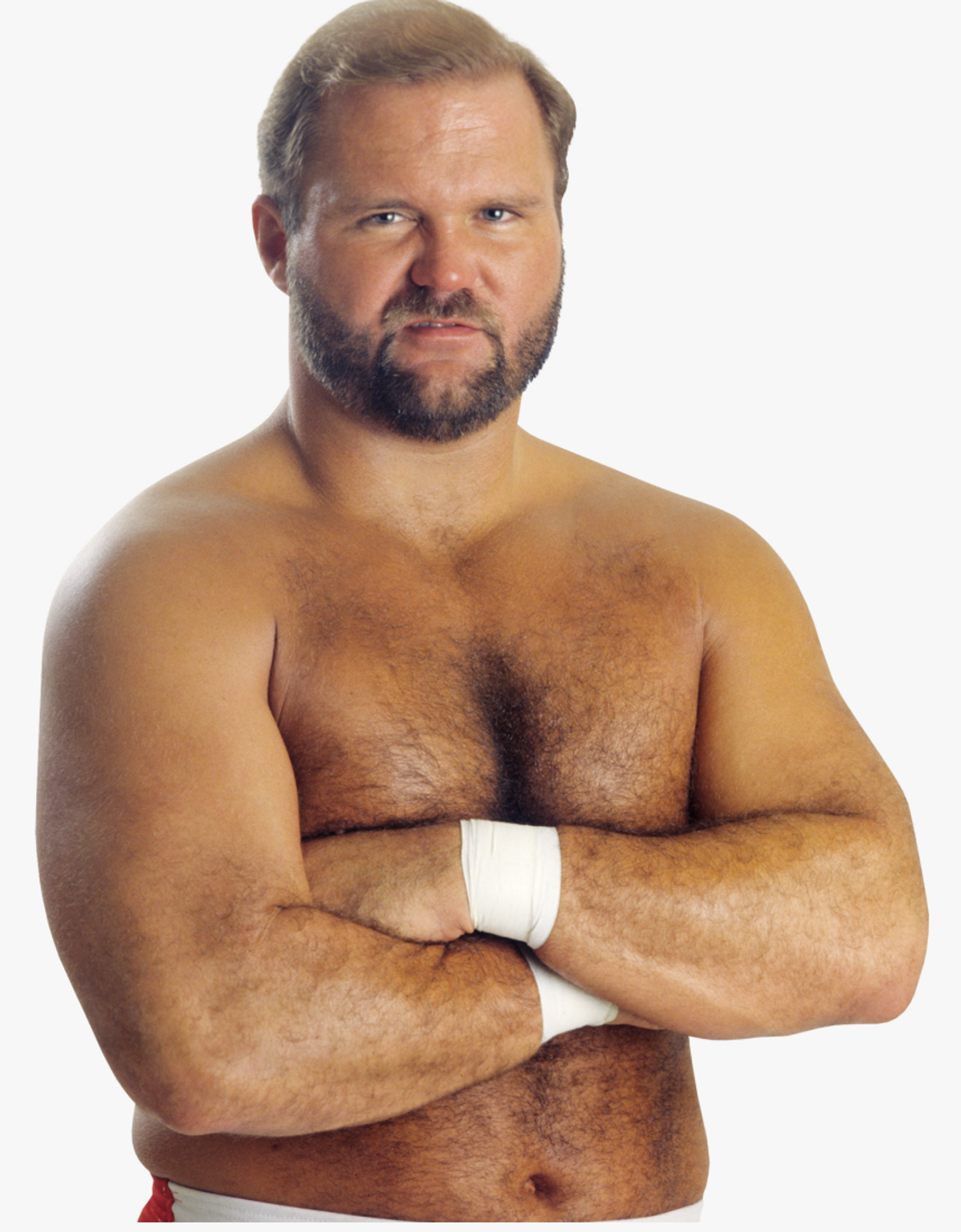 Wwe arn anderson hotsell