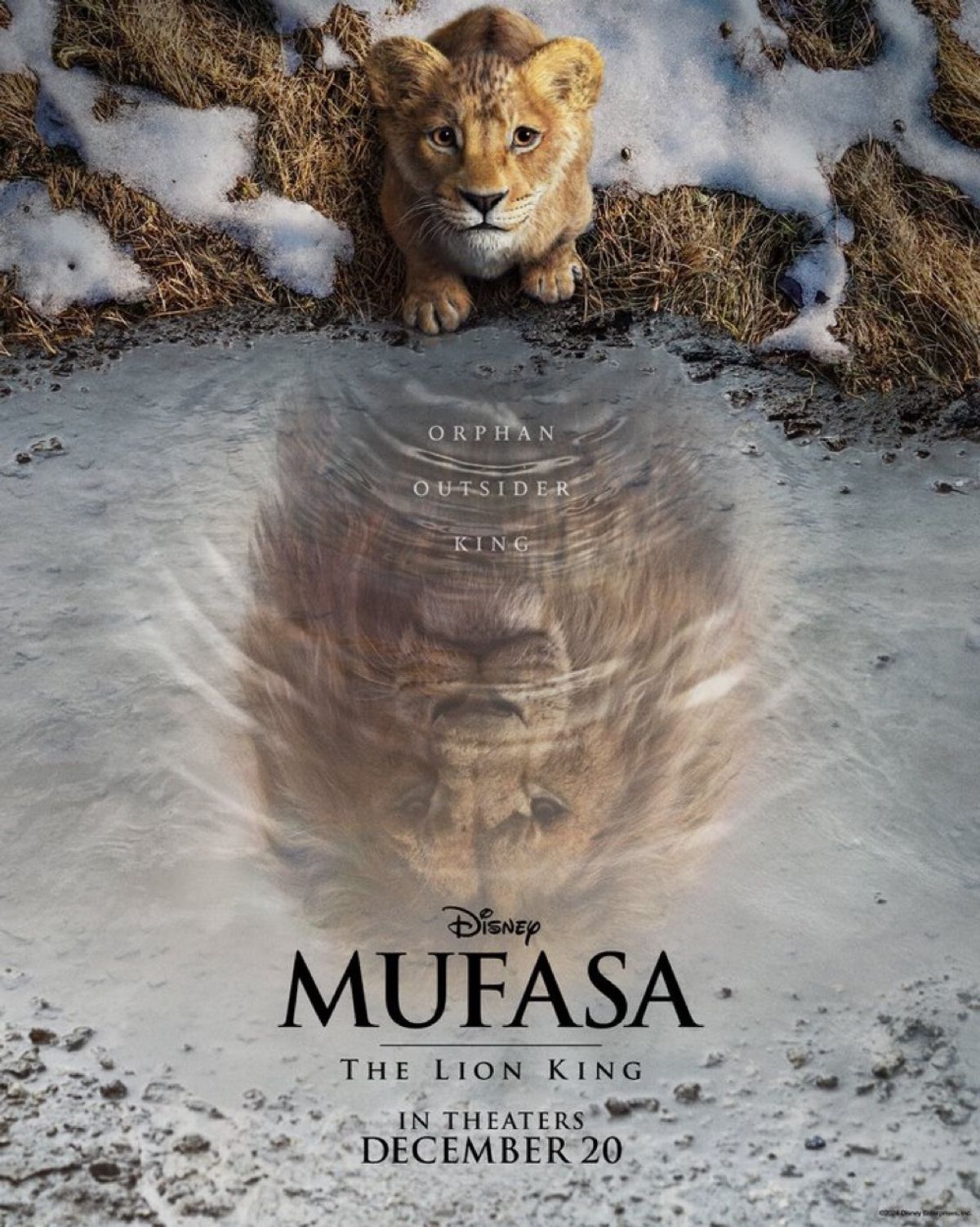 Mufasa The Lion King (Western Animation) TV Tropes