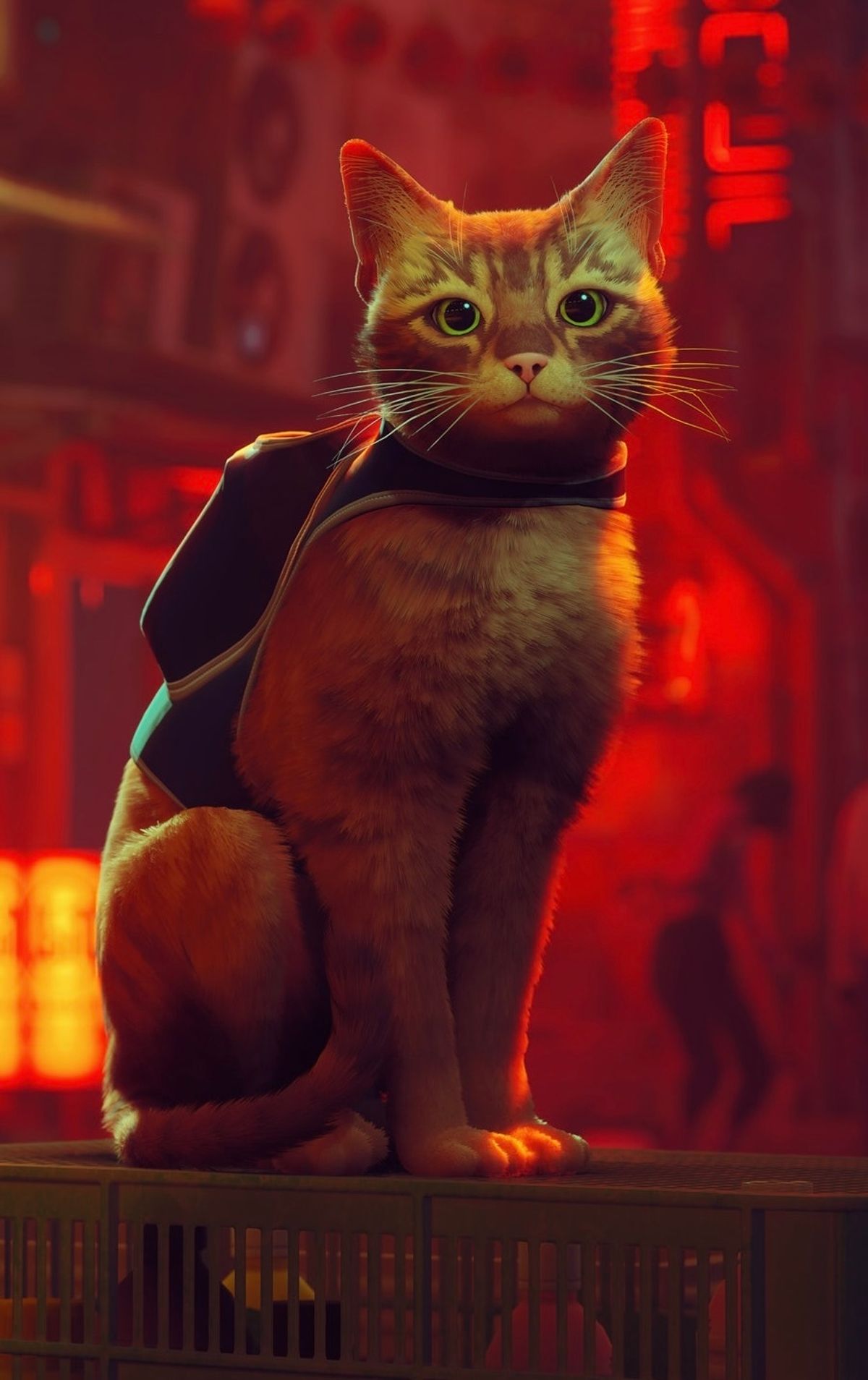 Characters in Stray (2022) - TV Tropes