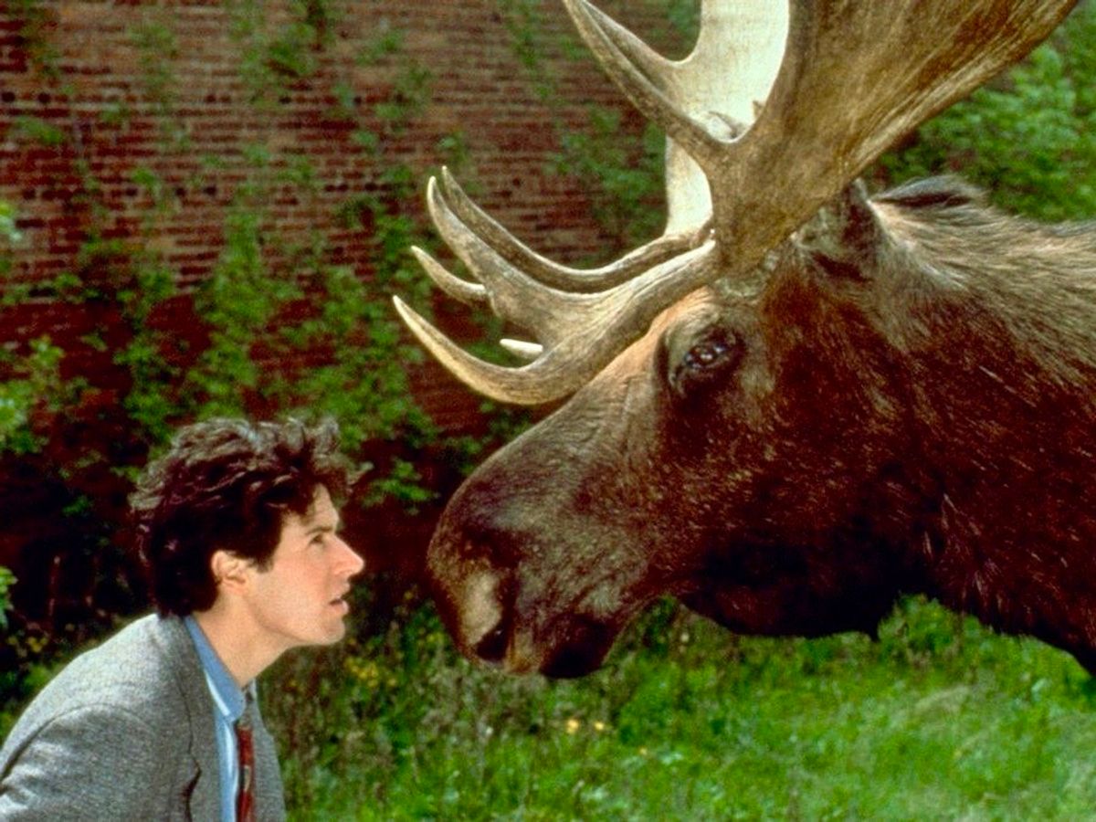 Northern Exposure (Series) - TV Tropes