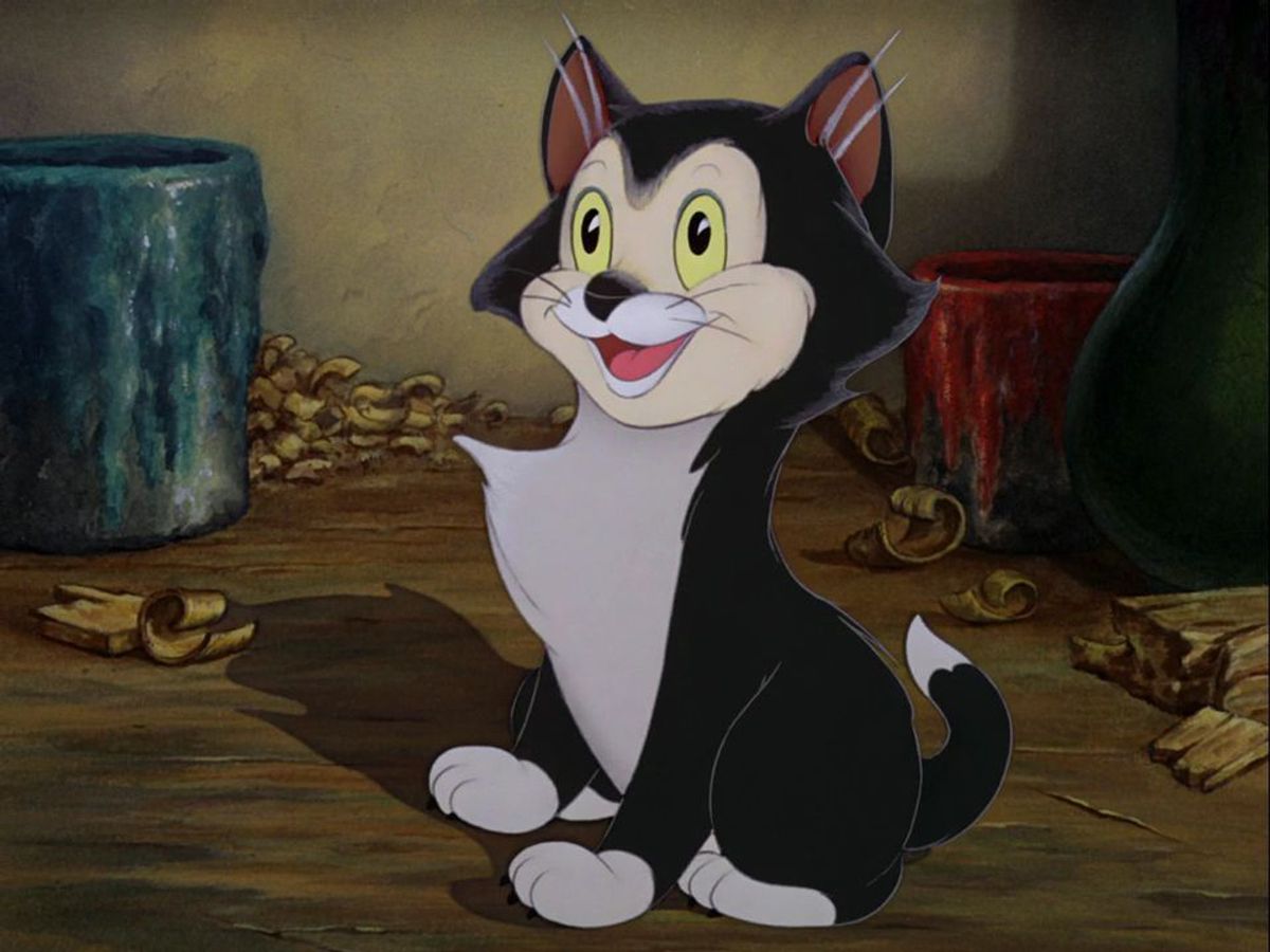 Figaro (Western Animation) TV Tropes