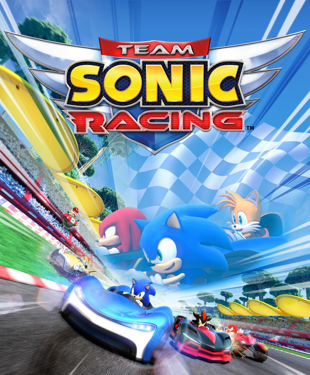 Team Sonic Racing (Video Game) - TV Tropes