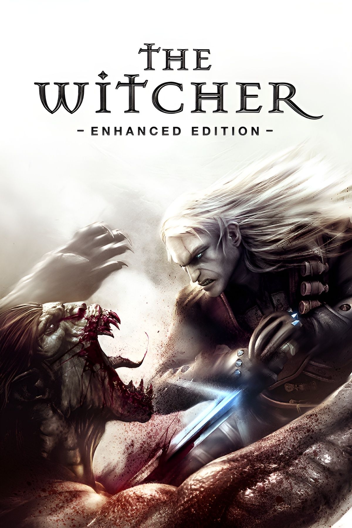 The Witcher (2007) (Video Game) - TV Tropes