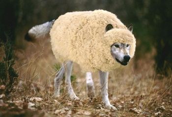 Wolf In Sheeps Clothing Roblox Id